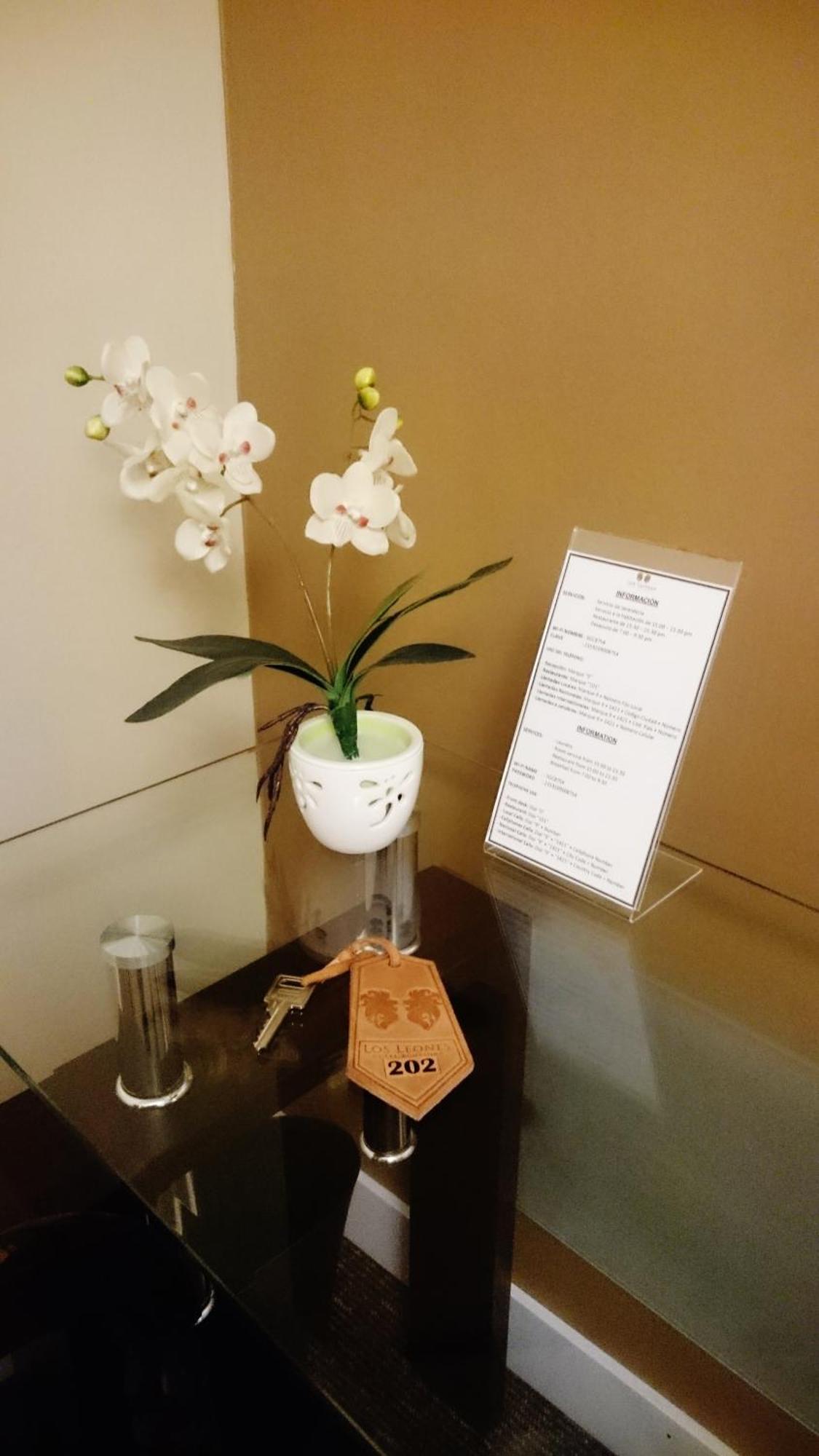 Los Leones Hotel Boutique Yanahuara Rum bild